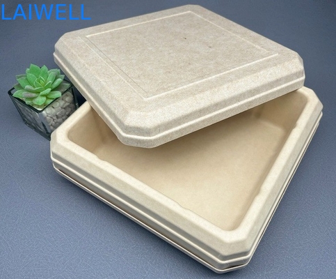 45*45*25MM Couleur beige Boîte de bagages durable EcoPack léger Accessoires personnalisés et réutilisables pour un emballage écologique