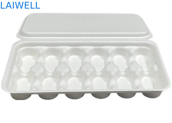 Couleur blanche Bagasse durable Boîte à café non toxique et sans danger pour les aliments Biodégradable EcoPack accessoires avec marque personnalisée