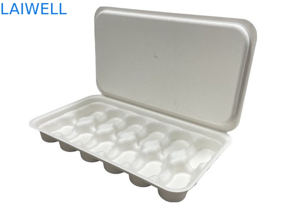 Couleur blanche Bagasse durable Boîte à café non toxique et sans danger pour les aliments Biodégradable EcoPack accessoires avec marque personnalisée