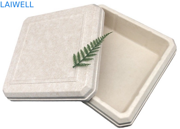 45*45*25MM Couleur beige Boîte de bagages durable EcoPack léger Accessoires personnalisés et réutilisables pour un emballage écologique